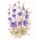 PRINT ROB POHL COLLECTION Wild Flower Sprays 2